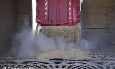 یارانه به کشورهای همسایه به خاطر ارزانی آرد!