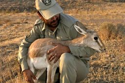 حکم اعدام برومند نجفی متوقف شد