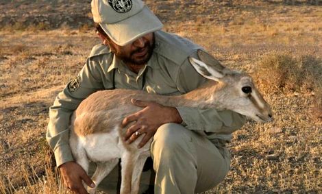 حکم اعدام برومند نجفی متوقف شد