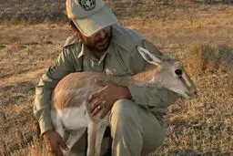 حکم اعدام برومند نجفی متوقف شد