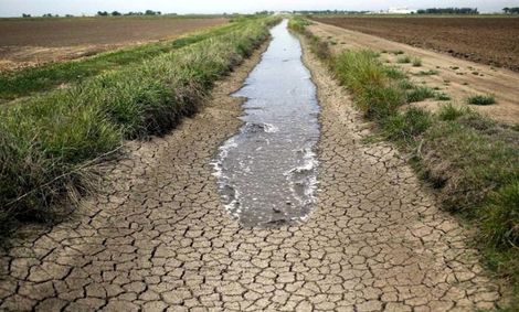 خط پایان کشاورزی ایران