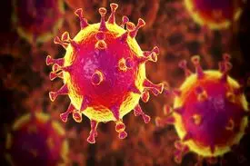 آیا آمریکا و اروپا در آستانه پایان همه گیری کرونا هستند