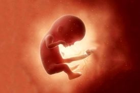 تبعیض حتی در دیه‌ جنین؟!