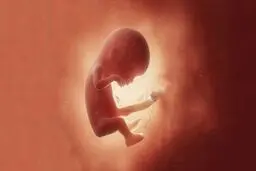 تبعیض حتی در دیه‌ جنین؟!