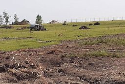 آثار منفی پتروشیمی در میانکاله