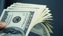 حذف رانت ارزترجیحی رضایت تولیدکنندگان را در برداشت