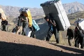 طرح ساماندهی کولبری در دولت بررسی می‌شود