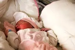پیدا شدن یک نوزاد دیگر حوالی میدان ونک!