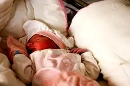 پیدا شدن یک نوزاد دیگر حوالی میدان ونک!