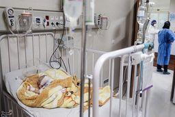 ۶۱ نوزاد در سال گذشته در سطح شهر رها شده‌اند