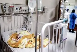 ۶۱ نوزاد در سال گذشته در سطح شهر رها شده‌اند