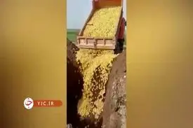 تعقیب کیفری عاملان جوجه کشی در اردبیل