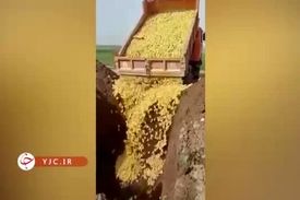 تعقیب کیفری عاملان جوجه کشی در اردبیل