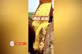 تعقیب کیفری عاملان جوجه کشی در اردبیل