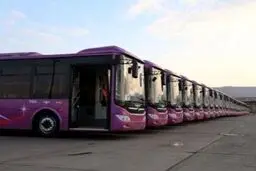 تمام رانندگان بازداشتی آزاد شدند