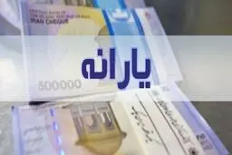 یارانه های جدید کی قابل برداشت میشوند