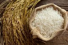 قیمت برنج صادراتی تایلند بالا رفت