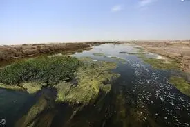 زاینده رود در تالاب بین المللی گاوخونی جریان پبداکرد