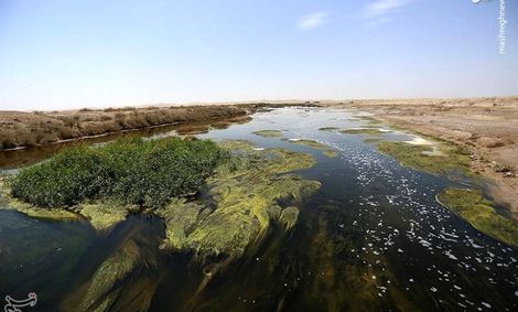 زاینده رود در تالاب بین المللی گاوخونی جریان پبداکرد