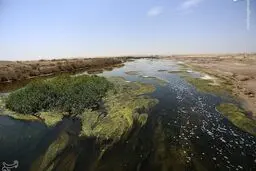 زاینده رود در تالاب بین المللی گاوخونی جریان پبداکرد
