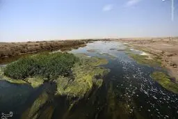 زاینده رود در تالاب بین المللی گاوخونی جریان پبداکرد