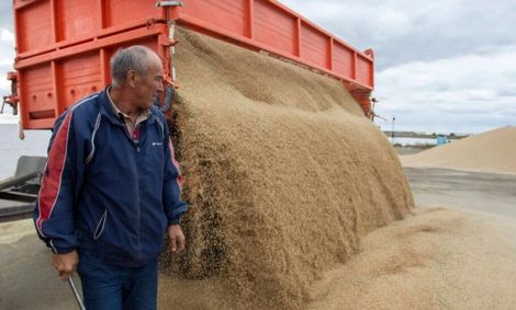 ارز ۴۲۰۰ تومانی ذاتاً فساد زاست و باید حذف شود/ افزایش قیمت‌ها در همه کشورها اتفاق افتاده است
