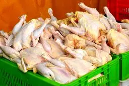 قیمت هر کیلو مرغ حداکثر ۵۹ هزار و ۸۰۰ تومان است