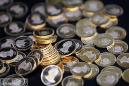 روند سکه نزولی است؟!