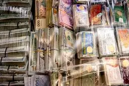 واکنش همتی به تصاویر منتشر شده از اموال مسروقه صندوق امانات بانک ملی