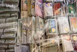 واکنش همتی به تصاویر منتشر شده از اموال مسروقه صندوق امانات بانک ملی