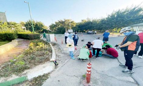 شلیک به جرم بد حجابی!