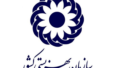 توضیح معاون بهزیستی کشور درباره رهاکردن نوزادان