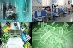 چگونه از بروز بیماری اسهال و استفراغ جلوگیری کنیم؟