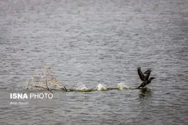 حق آبه هیرمند تحویل داده شد