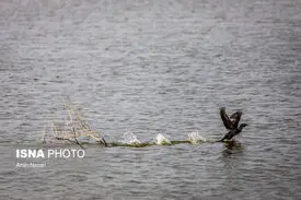 حق آبه هیرمند تحویل داده شد