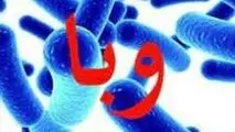 تعداد بیماران مشکوک به وبا در کردستان به ۱۰نفر رسید