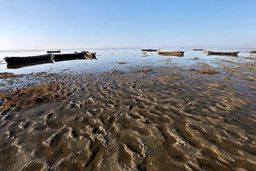 لایروبی خلیج گرگان کار بیهوده‌ای است