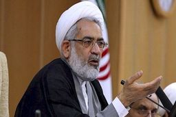 استفاده از اراذل و اوباش در ساخت و ساز بسیار عجیب است