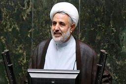 ذوالنور: سگ‌گردانی مردم را اذیت می‌کند