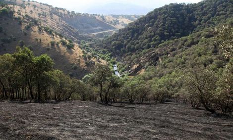 دریاچه ارومیه و جنگل های بلوط