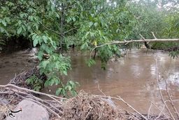 ۶ نفر در سیل یزد جان باختند