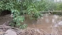 ۶ نفر در سیل یزد جان باختند