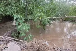 ۶ نفر در سیل یزد جان باختند