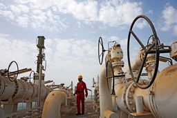 وزیر انرژی لبنان: پیشنهاد ارسال سوخت ایران رسمی شود آن را می‌پذیریم