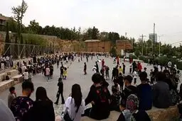 پس لرزه تجمع تفریحی نوجوانان/ کافه‌های شیراز را فله‌ای بستند