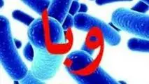 مدیرعامل شرکت آب و فاضلاب کشور آب ایران عامل ابتلا به وبا نبوده است