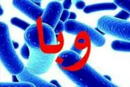مدیرعامل شرکت آب و فاضلاب کشور آب ایران عامل ابتلا به وبا نبوده است