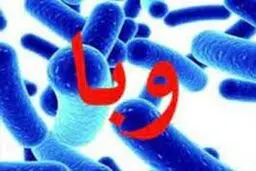 مدیرعامل شرکت آب و فاضلاب کشور آب ایران عامل ابتلا به وبا نبوده است