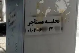شرخرها بلای جان مستاجرها