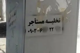 شرخرها بلای جان مستاجرها